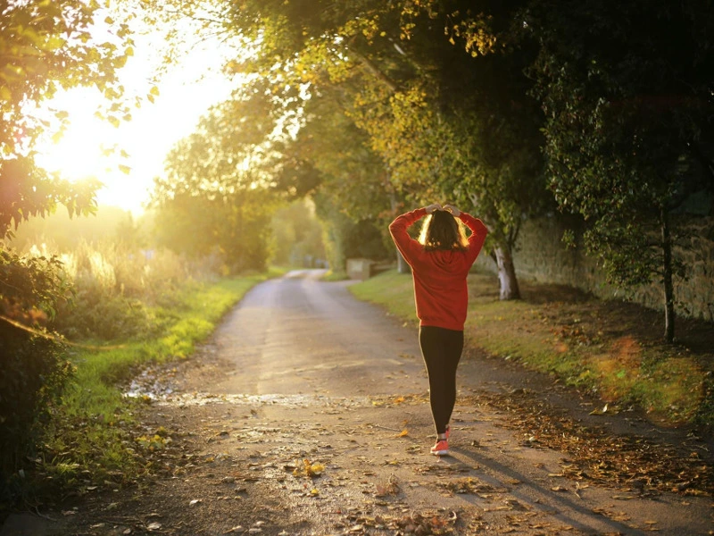 girl walking through the forest in sunrise