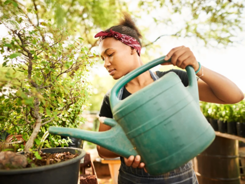 A teen girl in a red bandana waters a plant with a large green watering can during a nature therapy session