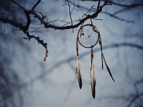 A dreamcatcher hanging from a tree on a cloudy day