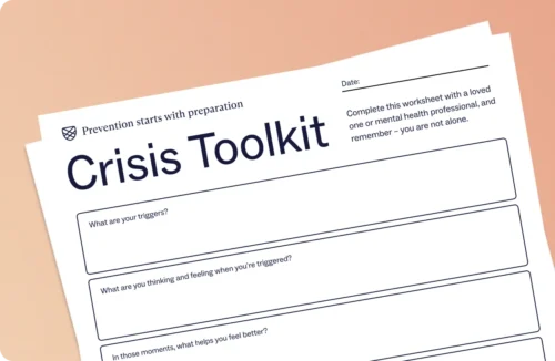 Illustrative image of the crisis toolkit pdf