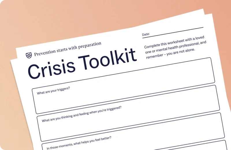 Illustrative image of the crisis toolkit pdf