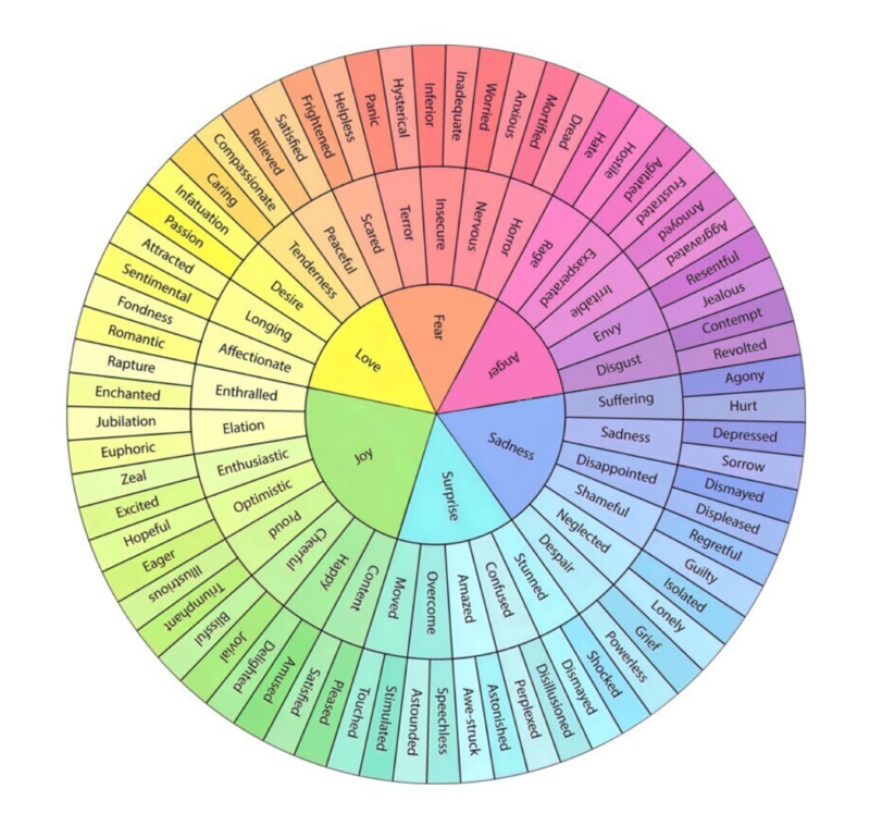 Emotion Wheel Charlie Health