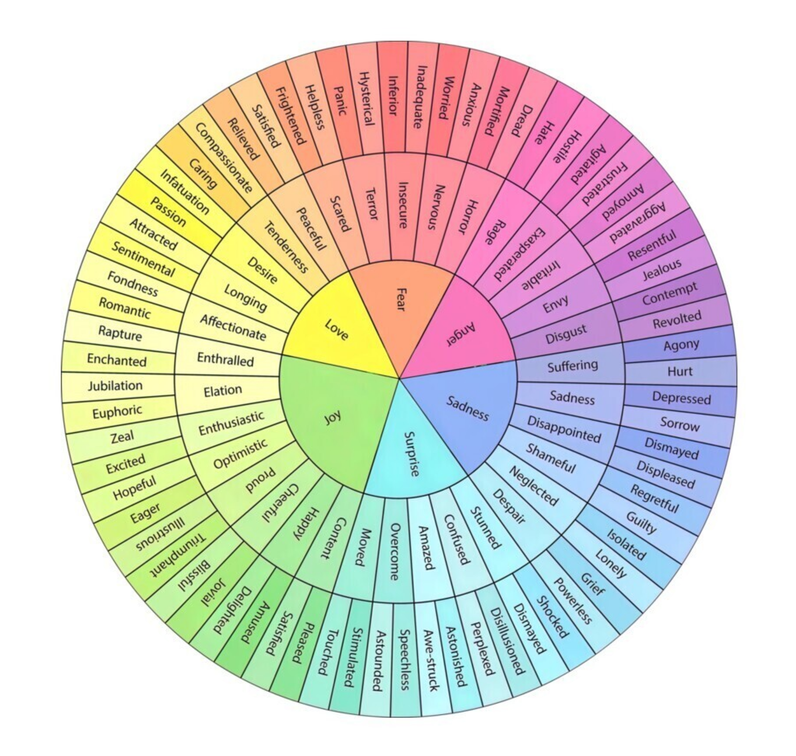 Emotion Wheel with all of the different emotions