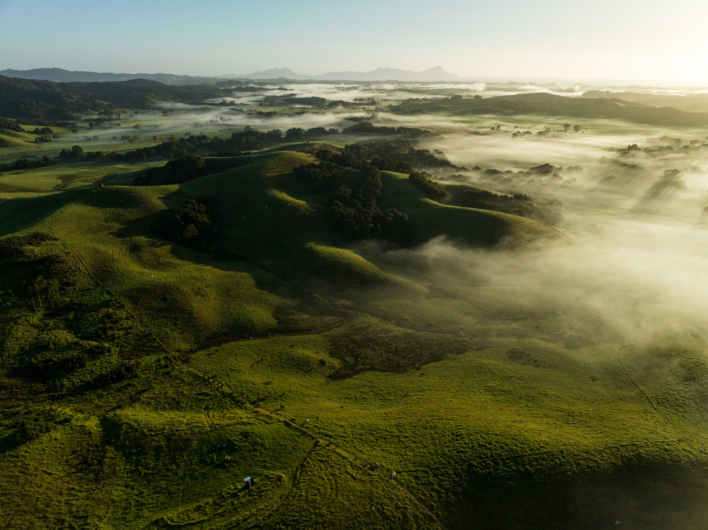 Sunlit rolling green hills with low morning mist